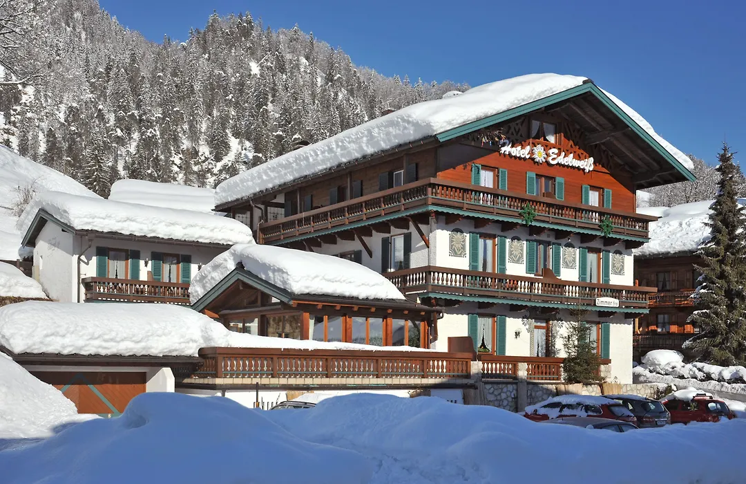Hotel Edelweiß Garni-1