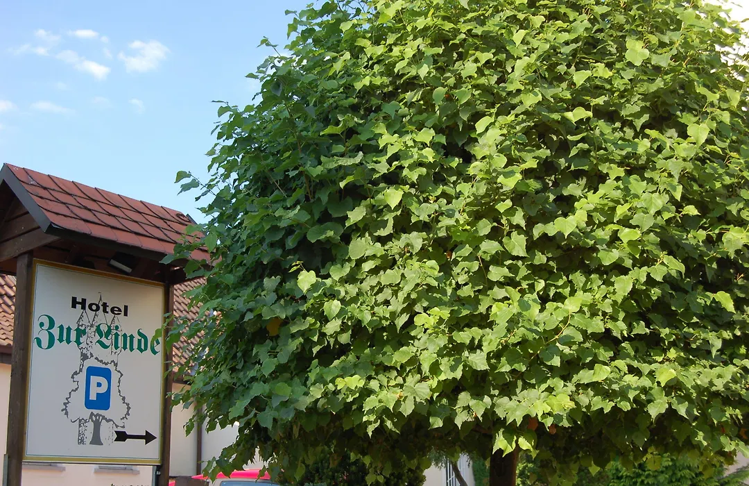Hotel zur Linde-1