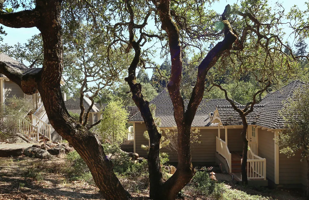 Meadowood Napa Valley-1