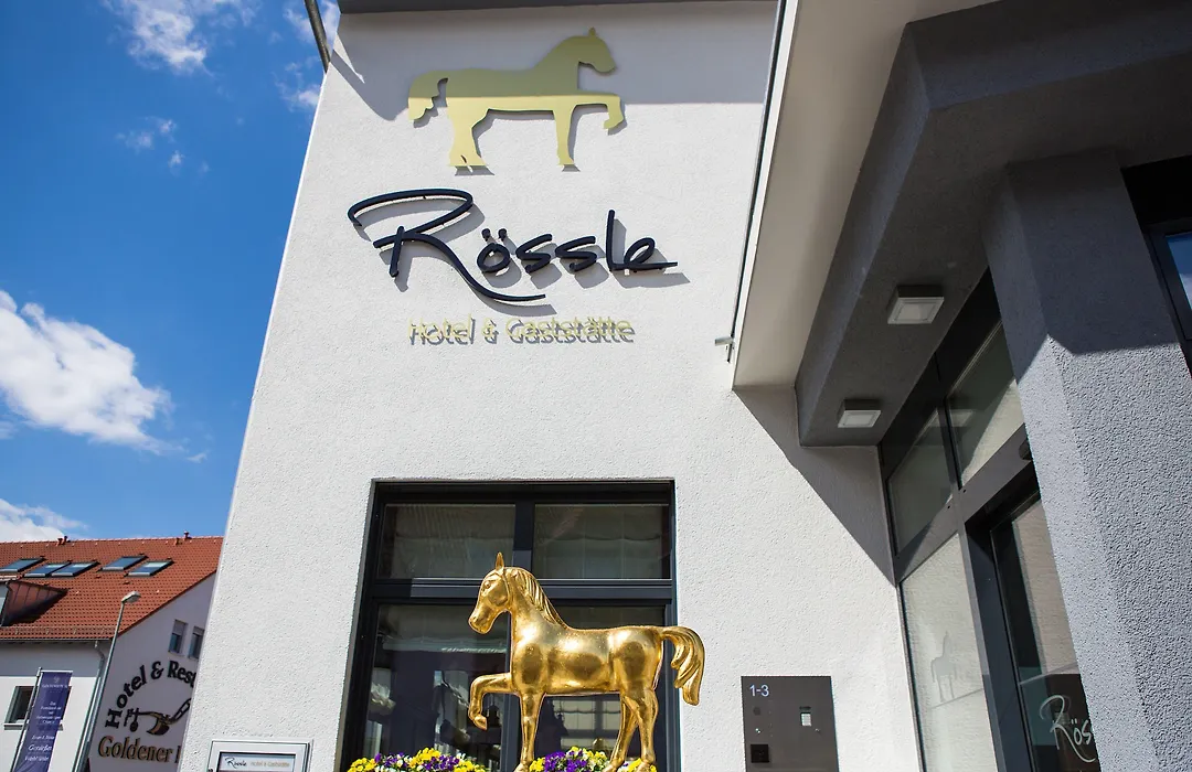 Hotel&Restaurant Goldener Pflug-1
