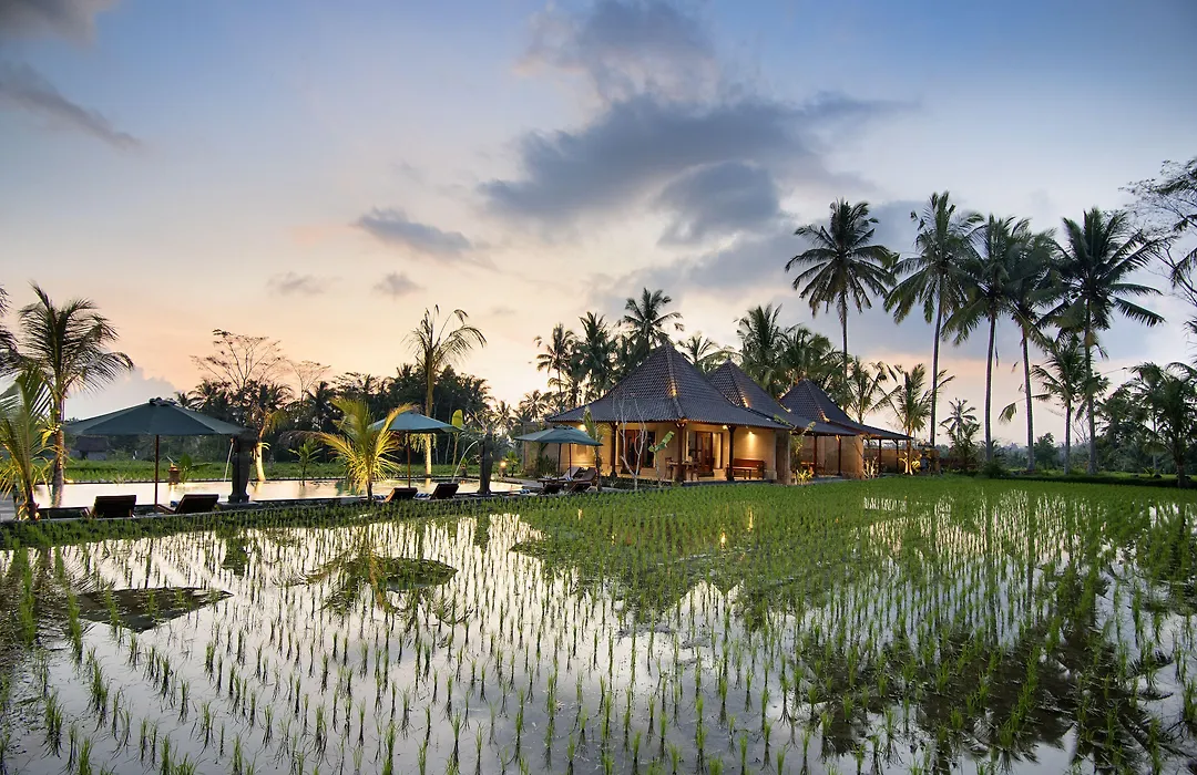 Pajar House Ubud Suite & Villas-1