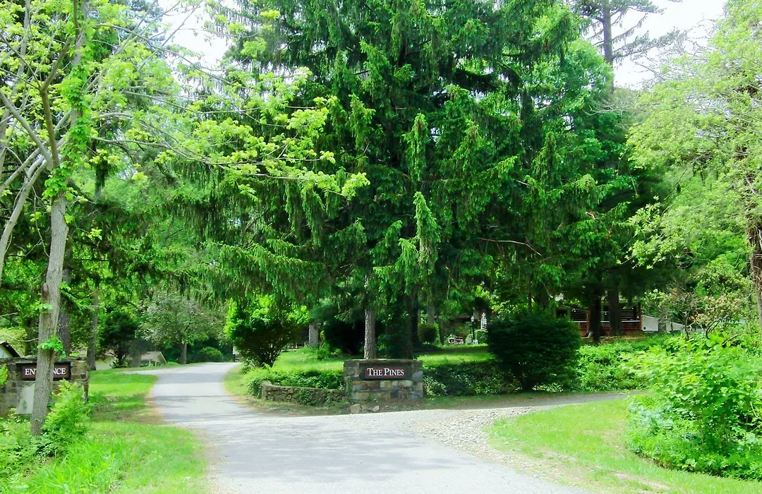 The Pines Cottages-1