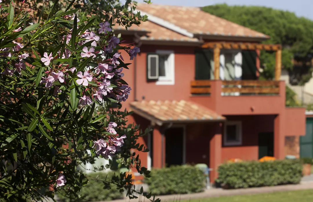 Residence Pineta-1