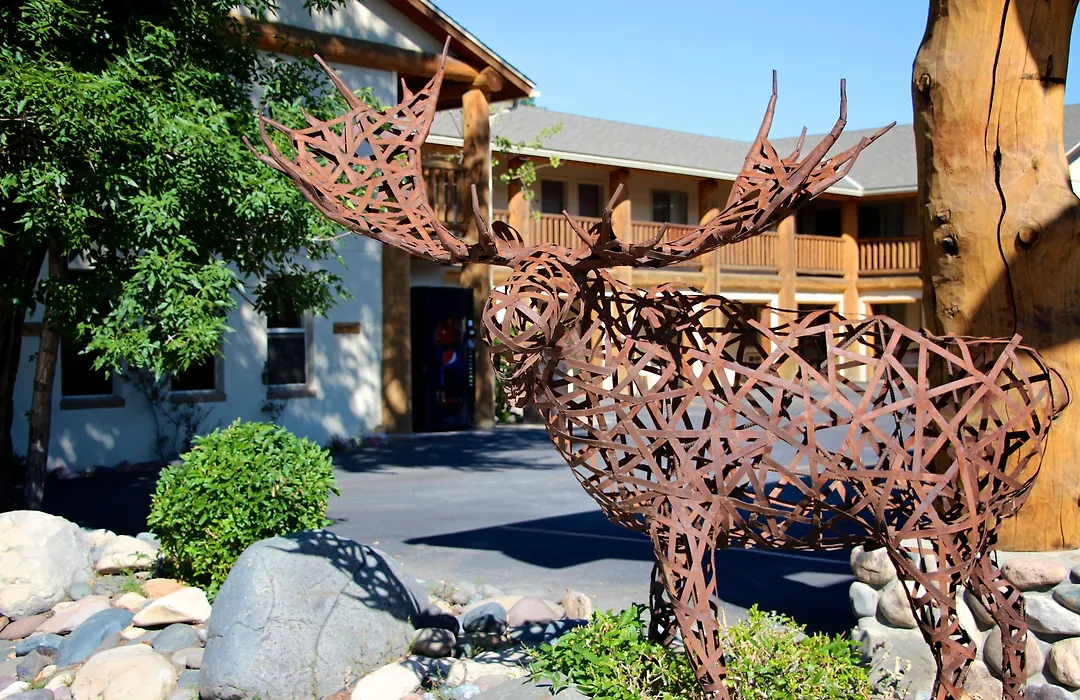 Moose Creek Lodge & Suites-1