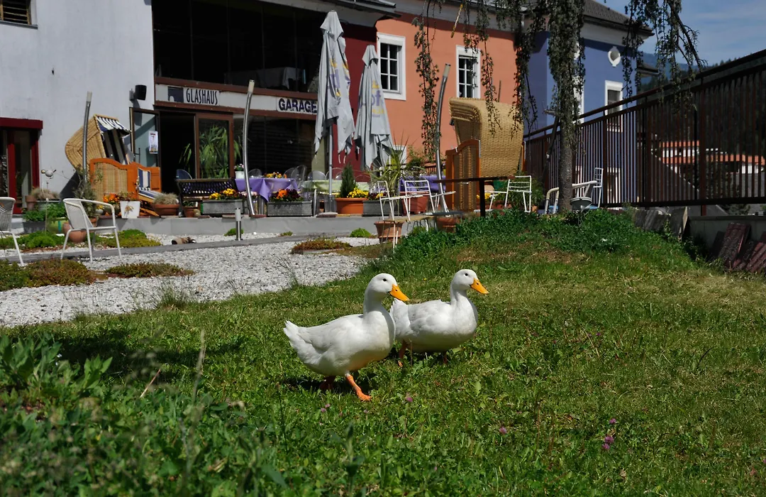 Erlebnis Post - Stadthotel Mit Eigenart-1
