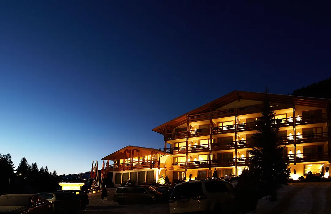 ArtHotel Anterleghes - Gardenahotels-1
