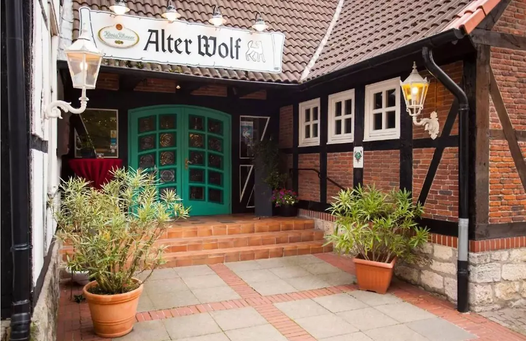 Hotel Alter Wolf-1