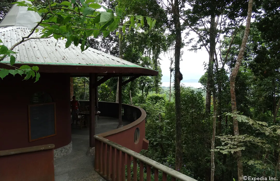 Atremaru Jungle Retreat-1