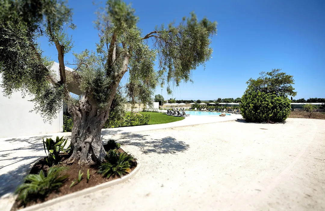 Addauro Resort-1