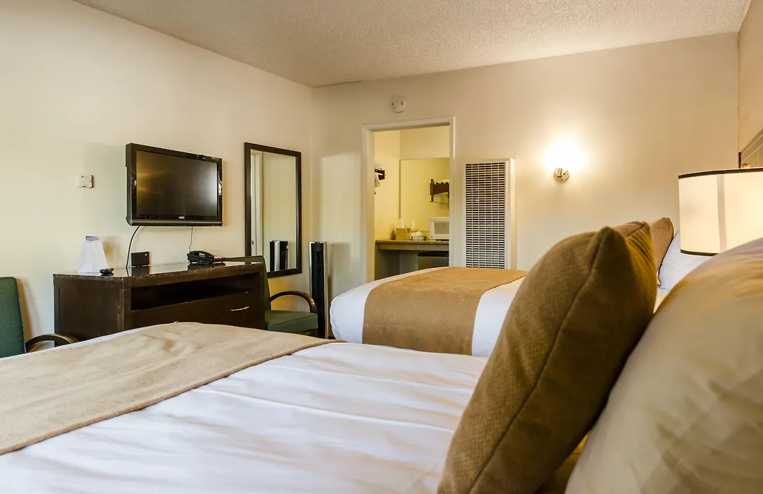 Ocean Palms Motel-1