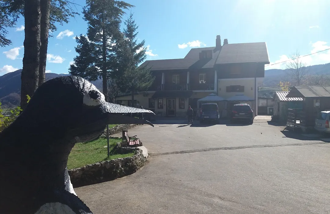 Hotel Pinguino-1