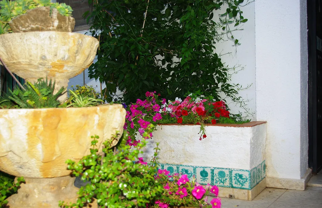 Hotel Lanjaron-1