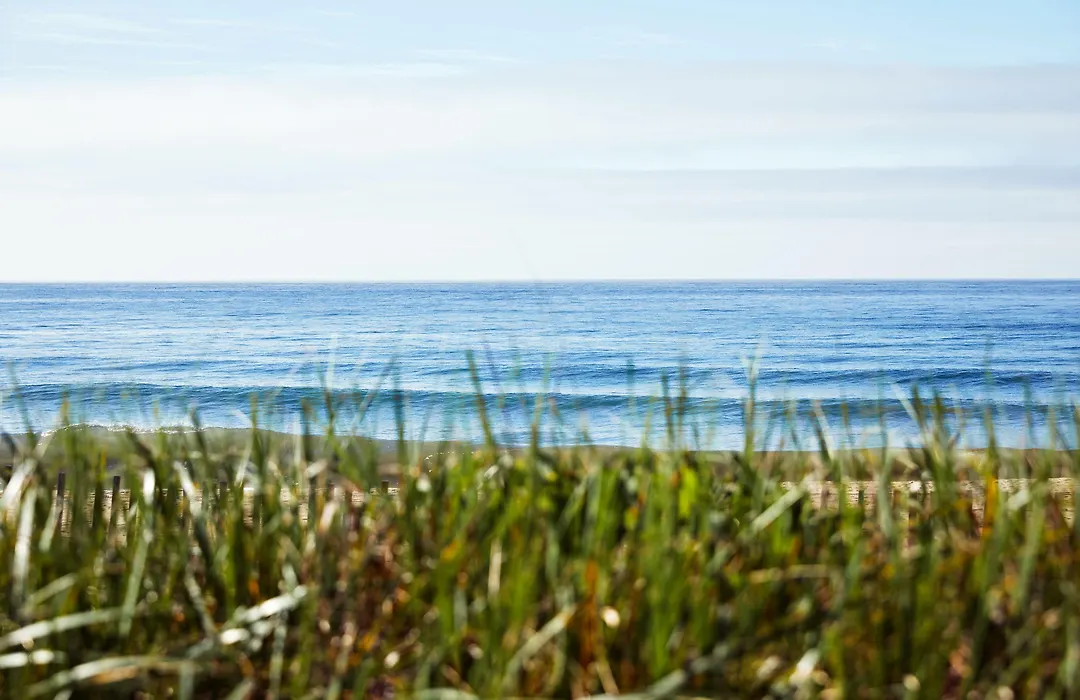 Marram-1