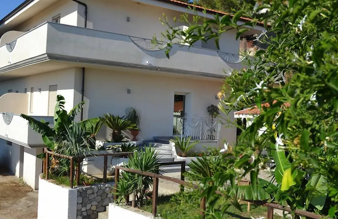 Hotel Mercurio Sul Mare - Fish Restaurant And Private Beach-1