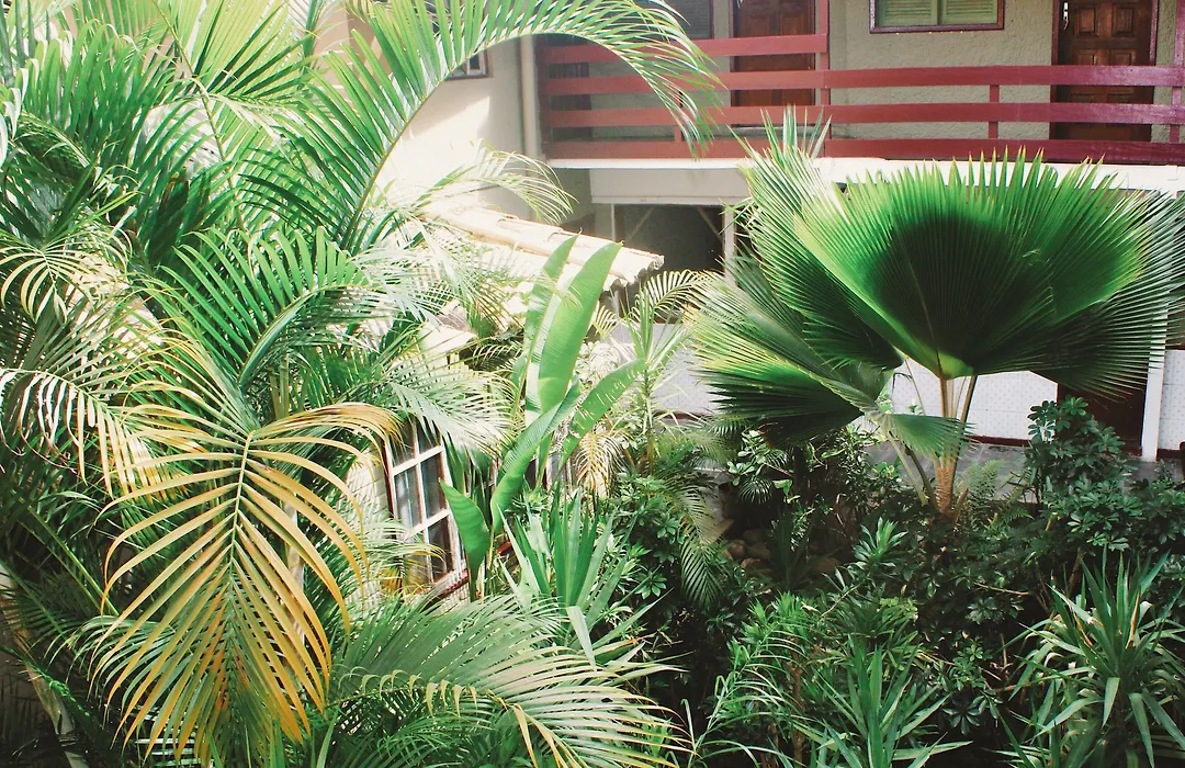 Hotel Pousada Del Rey-1