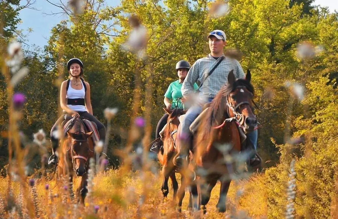 HOTEL HOLIDAYS a Barrea - Natura, Relax e Benessere nel Parco d'Abruzzo-1