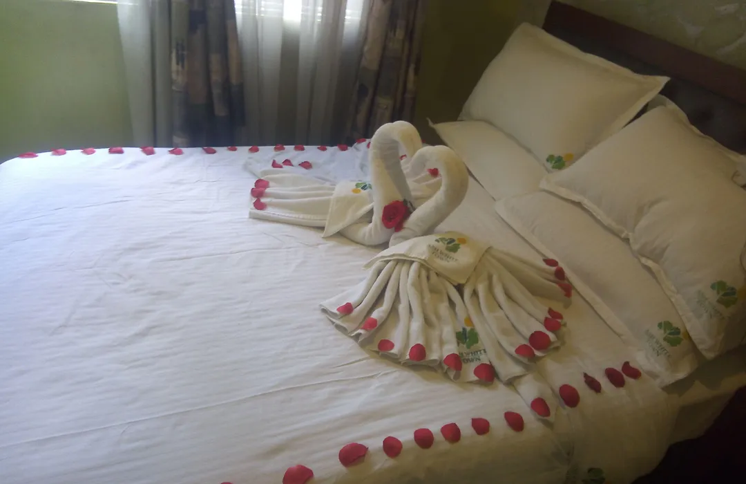Ash White Hotel-1