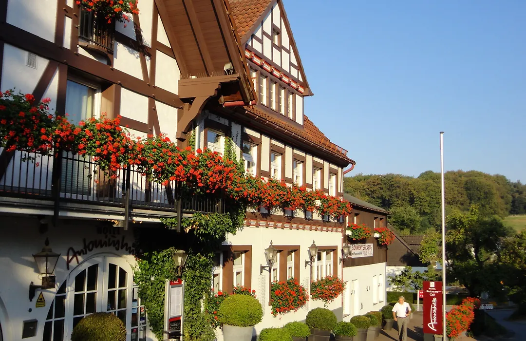 Hotel Antoniushütte-1