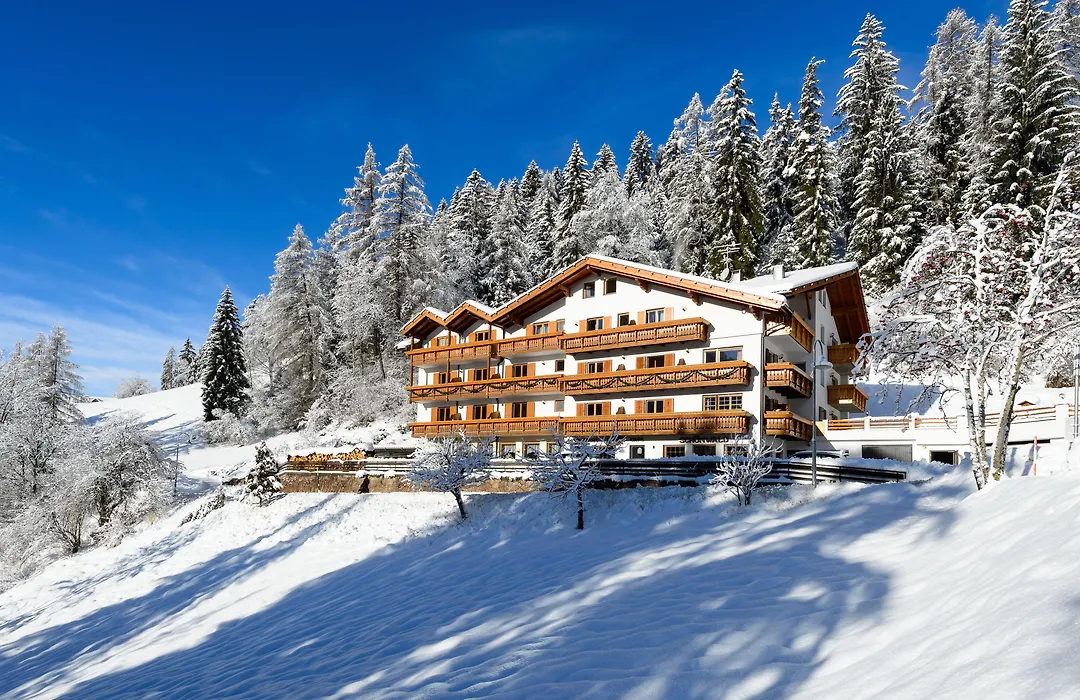 Aktiv Hotel Schoenwald-1
