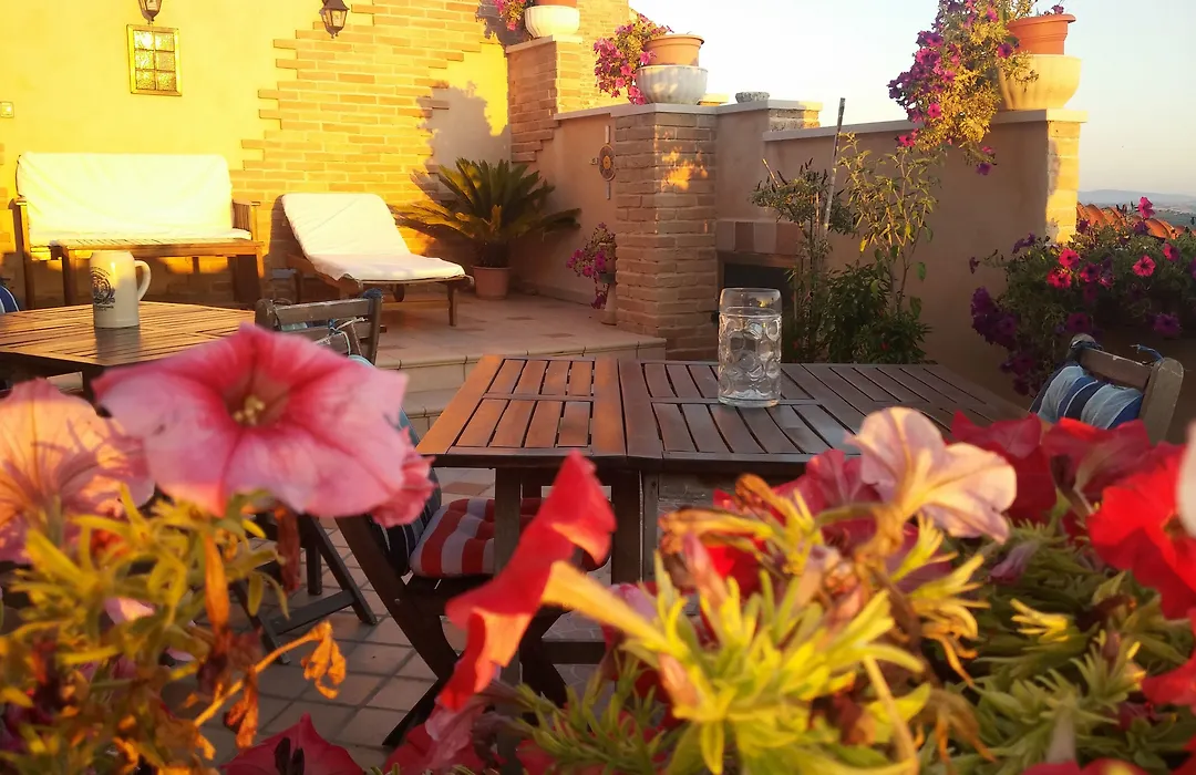 B&B Le Terrazze Fermo-1