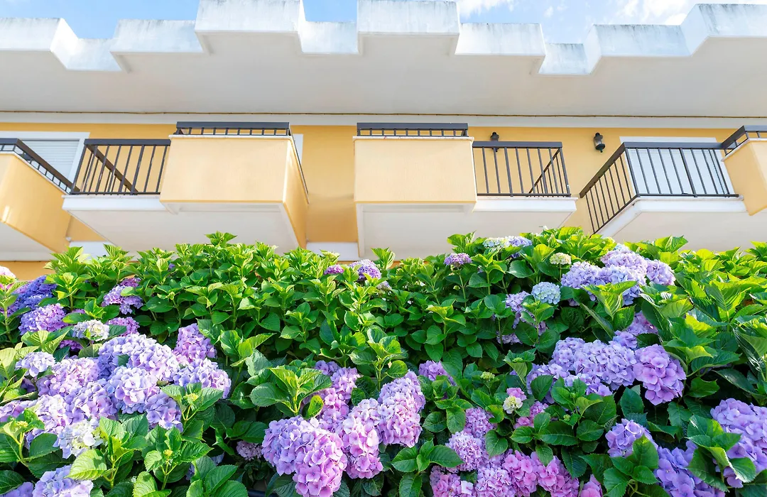 D. Afonso Hotel & Spa-1