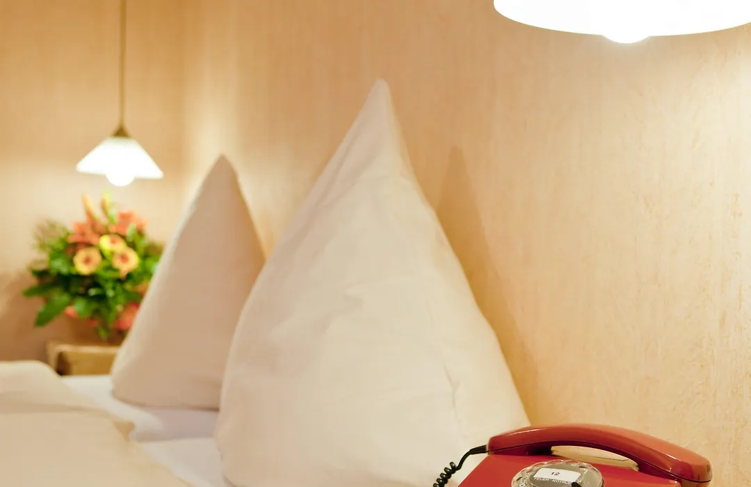 Hotel Birkenstern-1