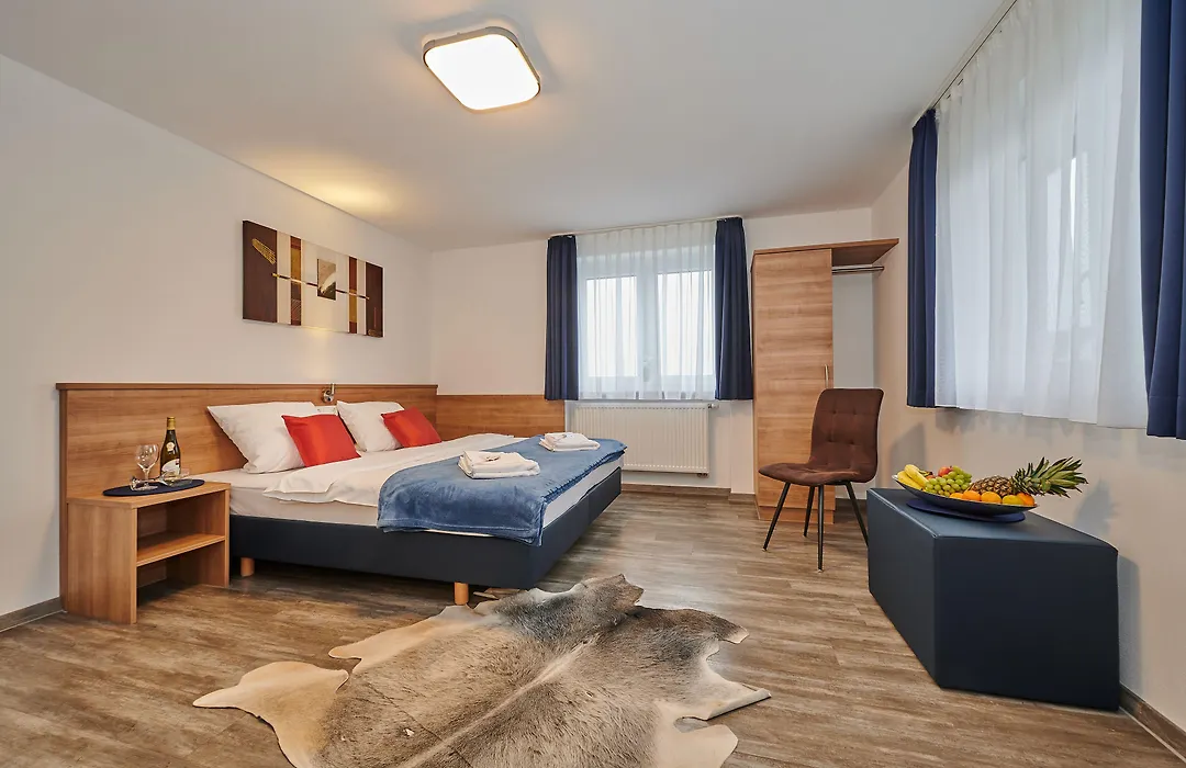 Sunny Hotel Straubing-1