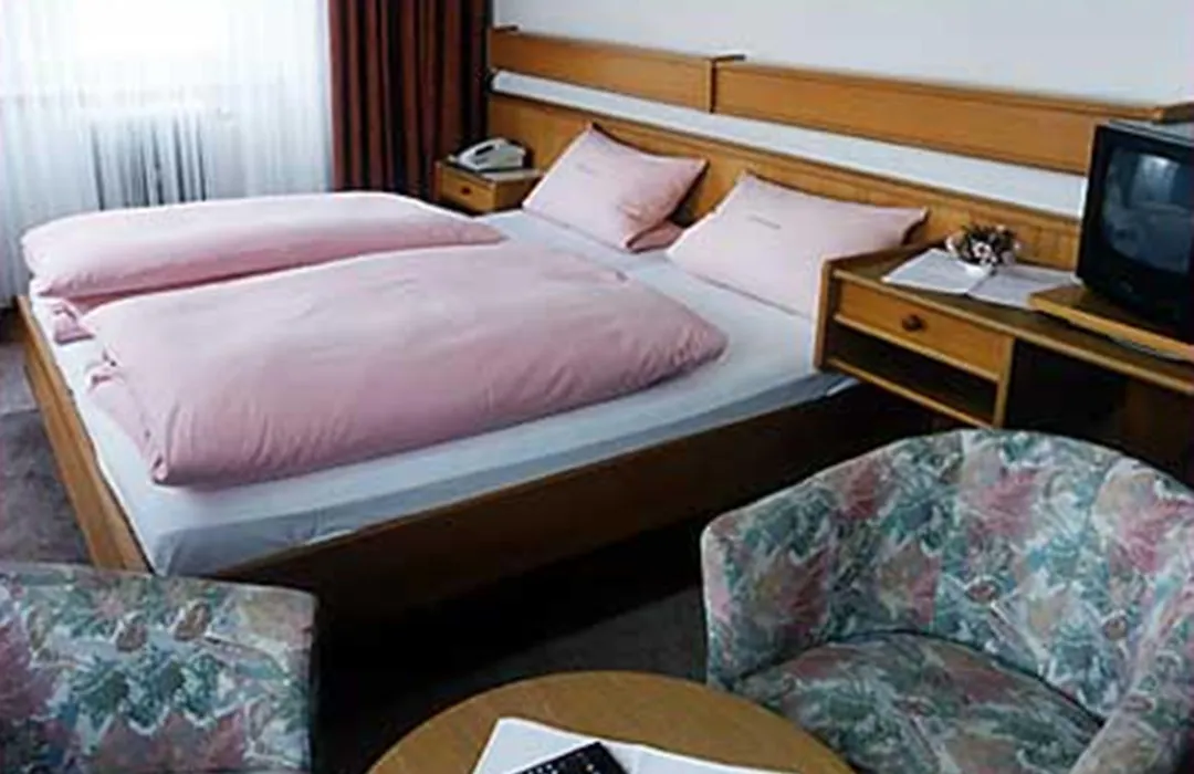 Drei Schweizer Hotel-1