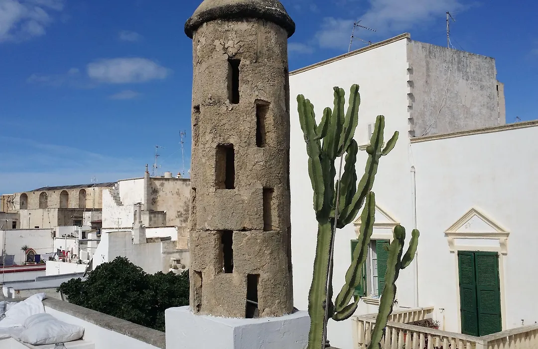 Corte Moline-1