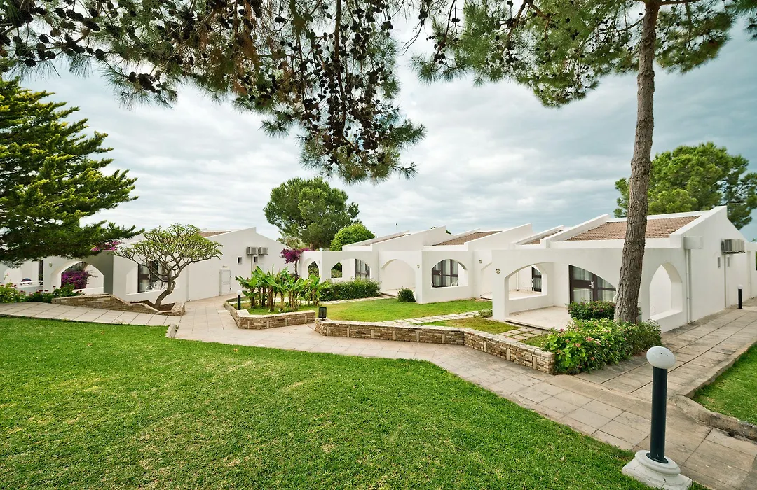 The Olive Tree Hotel-1