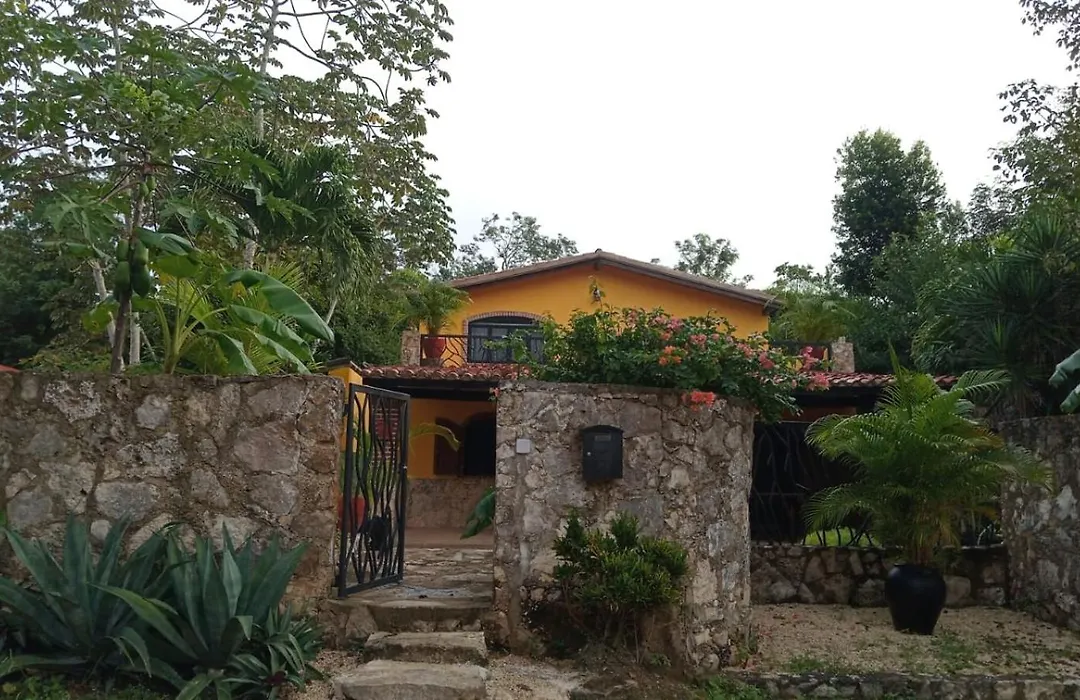Casa Mango-1