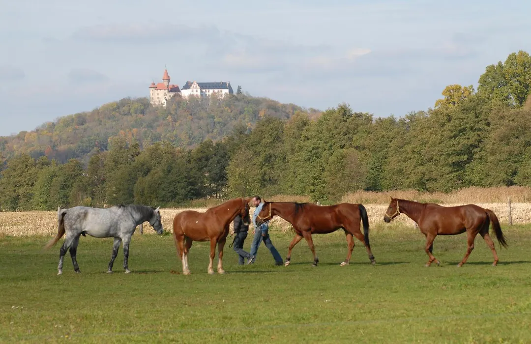 Land- und Aktivhotel Altmühlaue-1