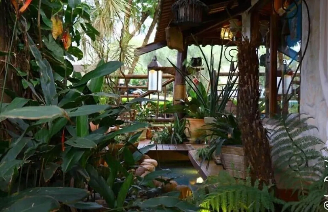 Pousada Bambu Brasil-1