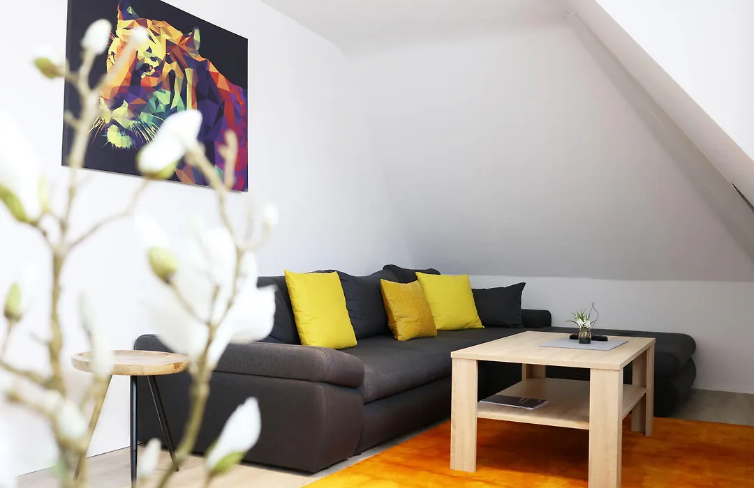 Parkhotel Villingen und Boardingzimmer-1