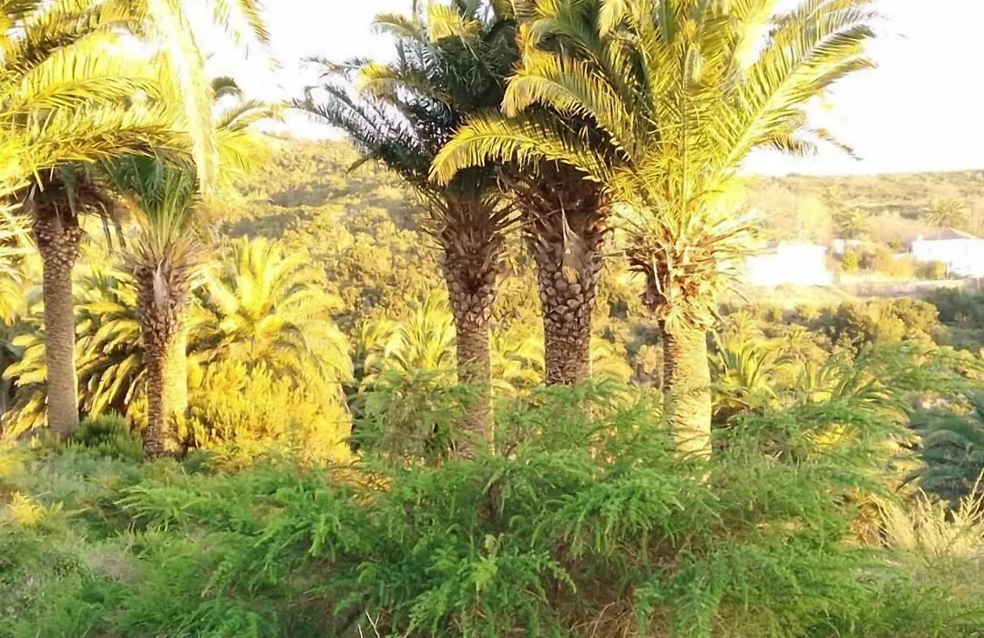Pensión Amparo Las Hayas-1