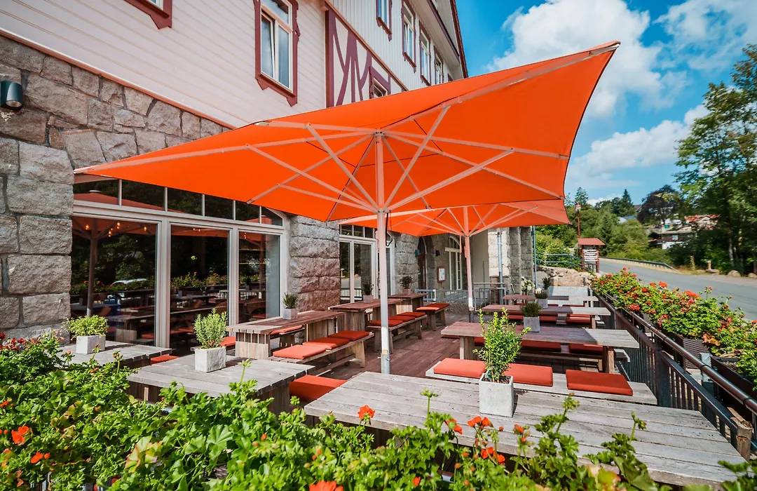Hotel Villa Bodeblick-1