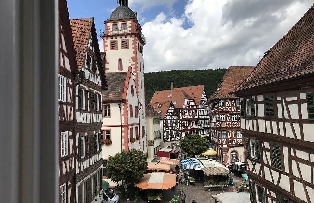 Hotel Schwanen-1