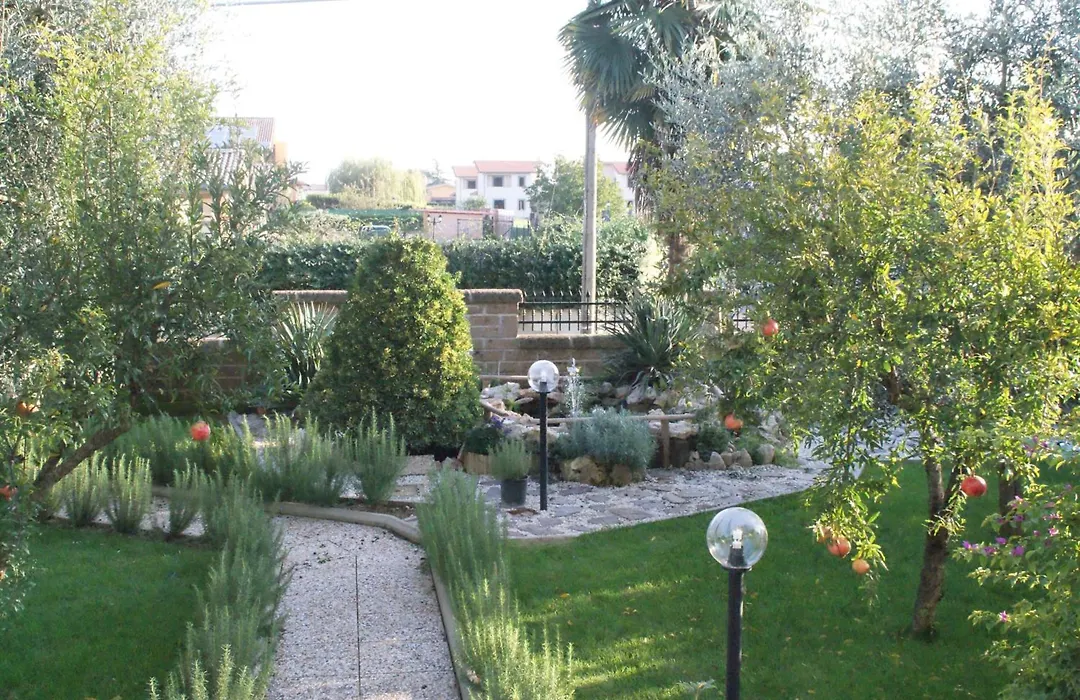 Bed&Breakfast degli ulivi-1