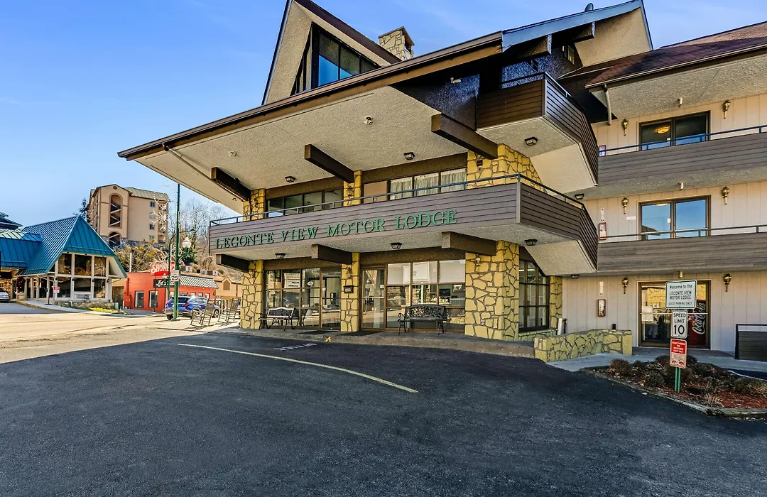 The Wander Hotel By Wyndham-1