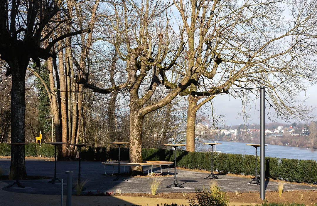Boutique Hotel Waldhaus Beider Basel-1