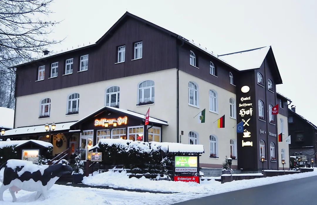 Hotel Seiffener Hof***-1