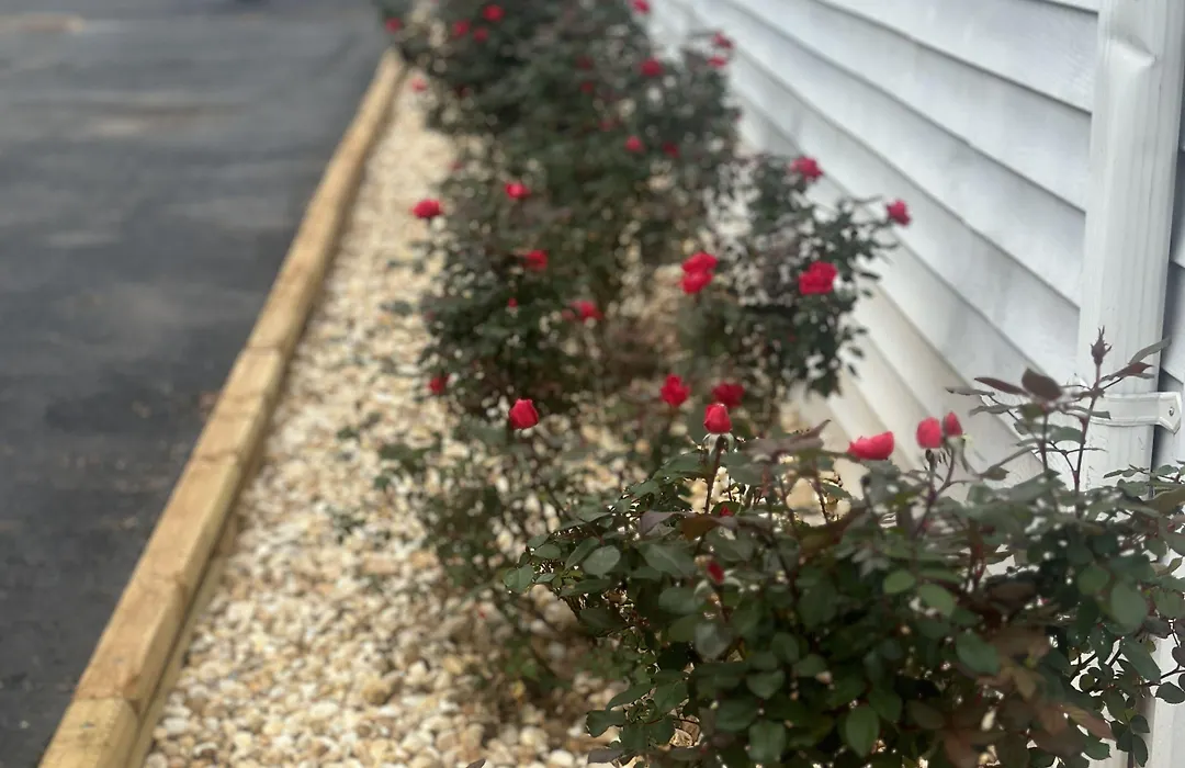 Green Garden Inn-1