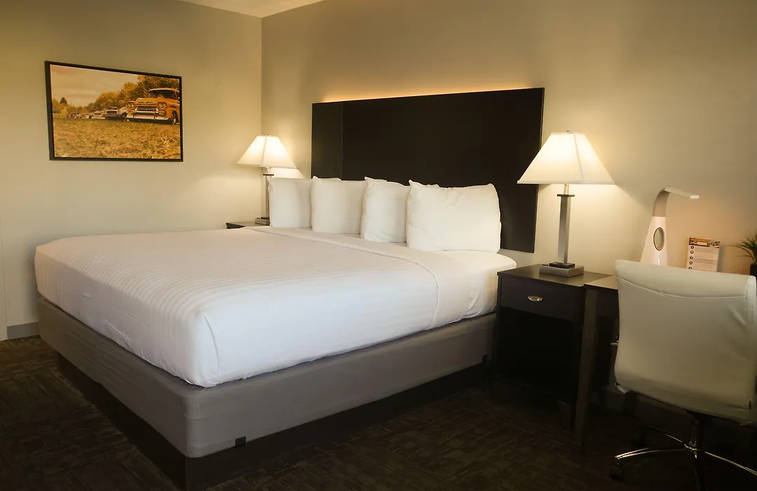 Americana Modern Hotel-1