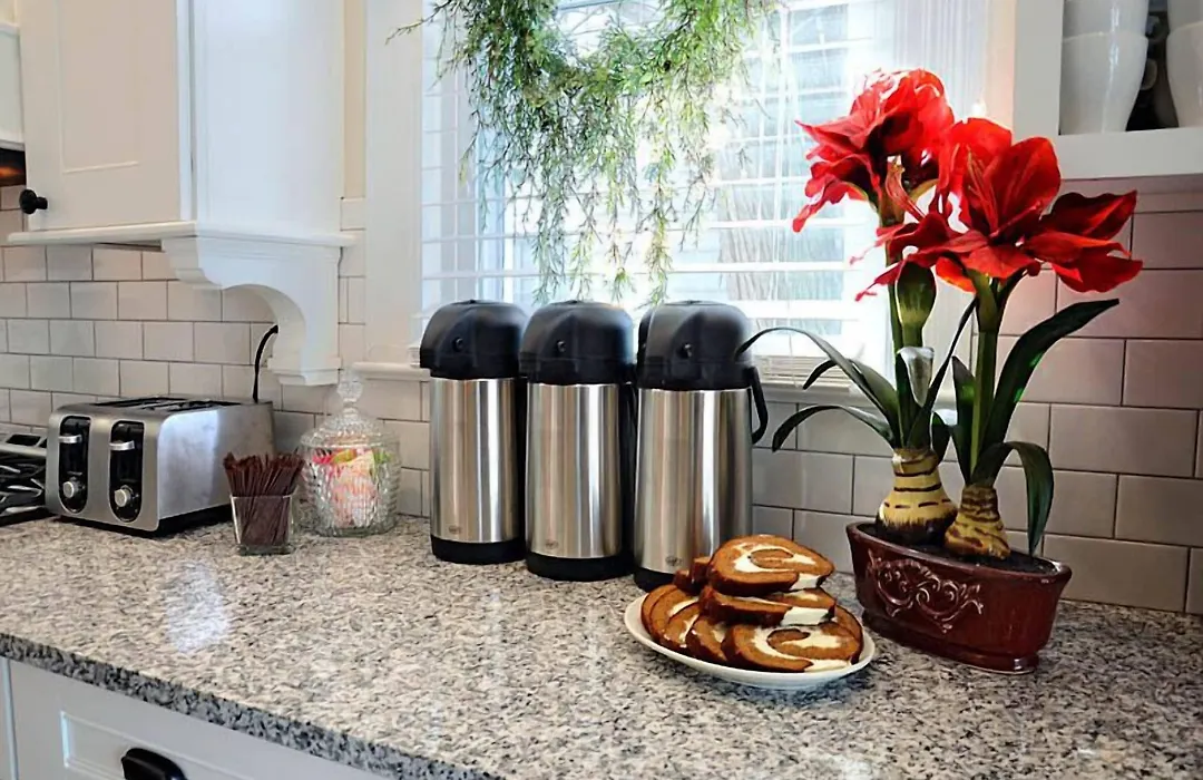 Rehoboth Guest House (Adults Only)-1