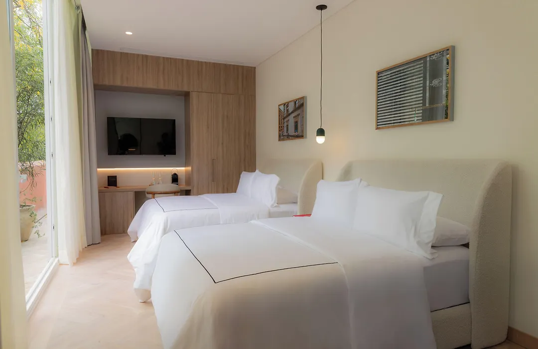 Casona Roma Norte-1