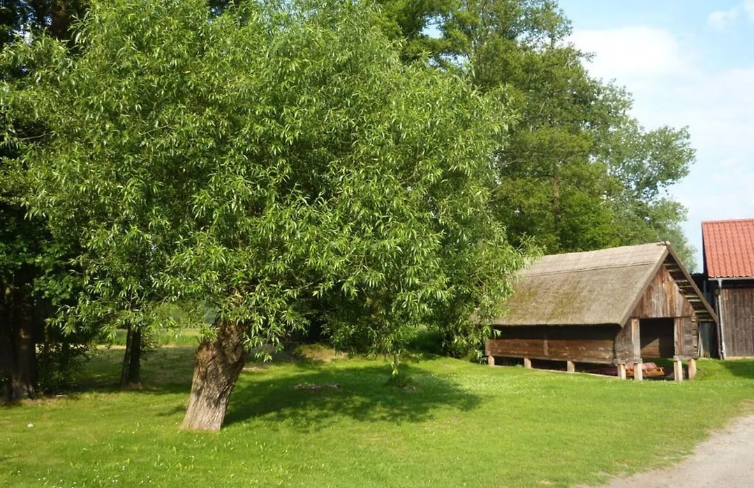 Spreewald Pension Spreeaue-1