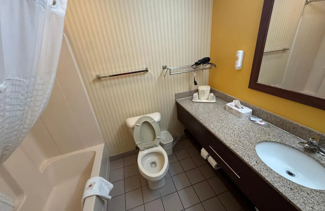Comfort Inn & Suites Hamburg - Buffalo South-1