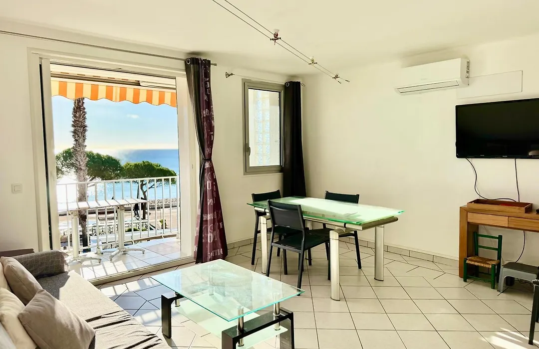 T3 sur la plage vue féerique mer,wifi, parking inclus , clim-1