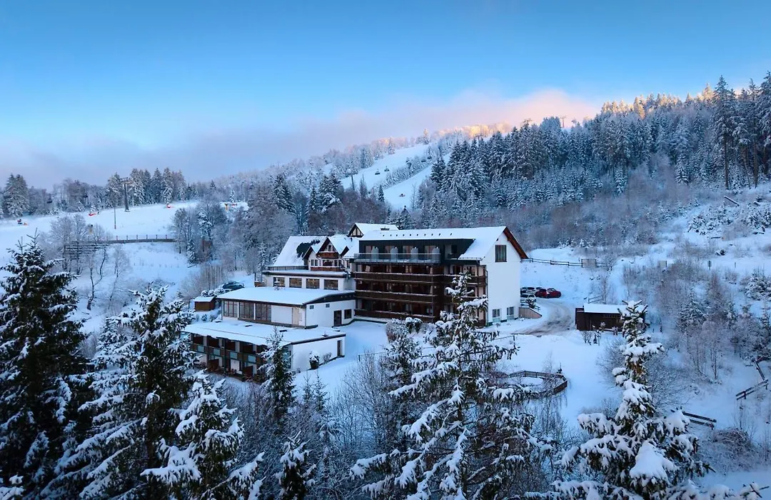 Wald Hotel Willingen-1