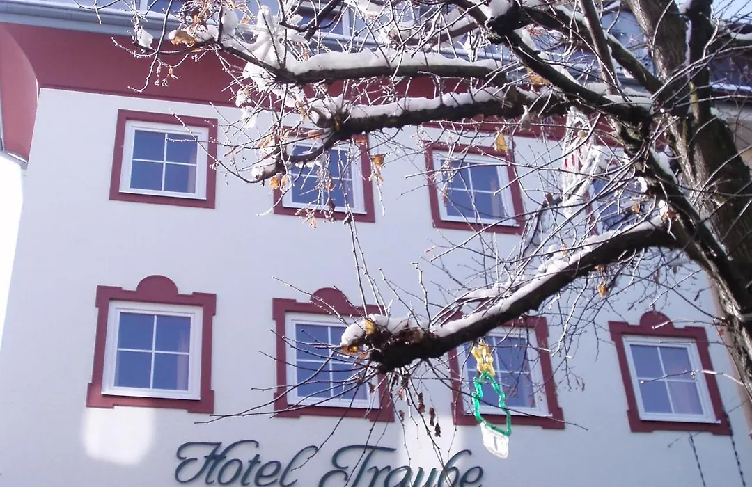 Hotel Traube-1